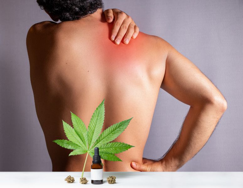 Should I Consider Medical Cannabis to Treat Chronic Pain